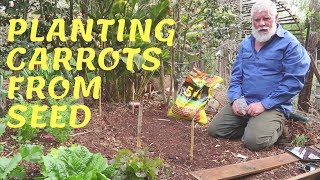 How to Plant and grow straight Carrots from seed [upl. by Ninon]