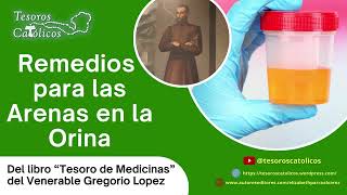 Remedios para las arenas en la orina del Venerable Gregorio Lopez [upl. by Eniala]