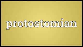 Protostomian Meaning [upl. by Suoilenroc]