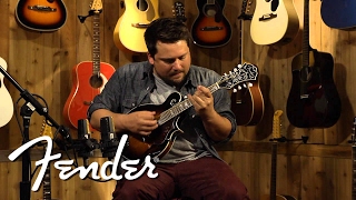 Fender Concert Tone Mandolin quotFquot 63S Demo  Fender [upl. by Lattonia]