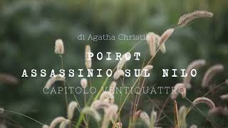 Assassinio sul Nilo di Agatha Christie  Capitolo Ventiquattro [upl. by Ayarahs]