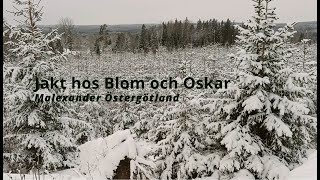 Jakt hos Blom och Oskar  avsnitt 1 [upl. by Egarton]