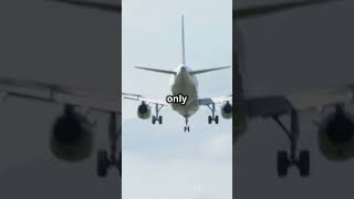 Miracle at Gimli Air Canada 143s Incredible Landing aviation [upl. by Akimas]