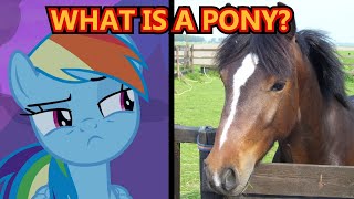 What Is A Pony [upl. by Connel]