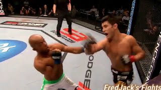 Dominick Cruz vs Demetrious Johnson Highlights FastPaced FIGHT ufc dominickcruz mma fight [upl. by Nyvek]