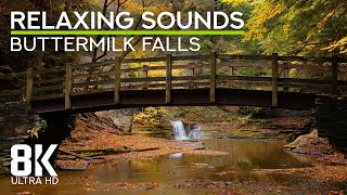 Calming Forest Waterfall Ambience with Stream Flowing Sound  8K Buttermilk Falls State Park NY [upl. by Brynn]