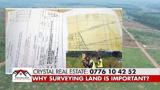 Why Surveying Your Land is Important [upl. by Noswad]