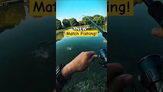 Latest match fishing videos  winter carp fishing tips  fishing skills fish fishing carp bait [upl. by Ruhtracm]