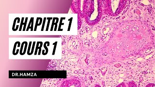 Histologie  Chapitre 1 Cours 1  Dr Hamza [upl. by Lluj44]