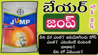 bayer jump insecticide telugu  jump insecticide telugu  jump insecticide dose  jump insecticide [upl. by Gasperoni127]