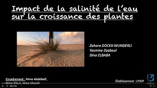 22 AEFE Impact de la salinité de leau sur la croissance des plantes [upl. by Akcirred]