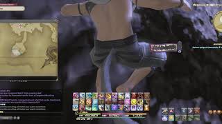 FFXIV Dravanian Forelands Gynehive jLs 8 OOB PATCHED [upl. by Enyluqcaj455]