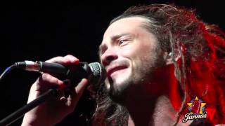 Soja jannus live 2013 [upl. by Frazier574]