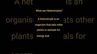 What are Heterotrophs  Heterotrophs  Define Heterotrophs shorts ytshorts short ytshortsindia [upl. by Babbette]