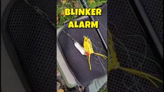 Unfassbar Diesen Blinker haben wir im Busch gefunden 🎣😲 [upl. by Norac]