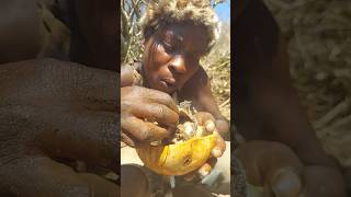 Look the bushmen drinking soup in big cup  guts soup of hyrax [upl. by Aurilia]