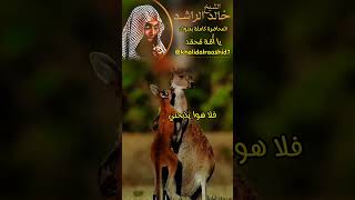 الشيخخالدالراشد رحمة النبي صلى الله عليه وسلم بالحيوانات موعظه دينيه مؤثرهحالات وتس [upl. by Ellac261]