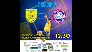 Balonmano Barakaldo vs Balonmano Tarazona [upl. by Anirdnaxela]