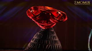 See MOMIX Alice at Wharton Center [upl. by Weatherby]