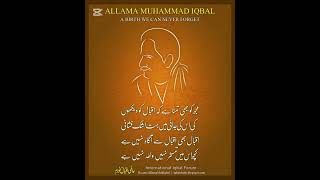 Iqbal Ke Shaheen AllamaIqbal IqbalPoetry PhilosophyOfIqbal PoetOfTheEast UrduPoetry [upl. by Taryne]