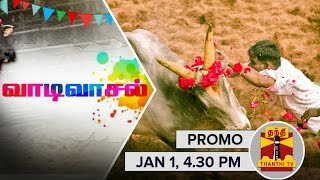 Jallikattu Special  quotVaadi Vaasalquot  Promo 112016 [upl. by Domingo244]