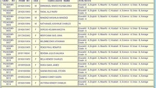 NJIA RAHISI YA KUTAZAMA MATOKEO YA DARASA LA SABA 2024 HII HAPA [upl. by Lehsreh735]