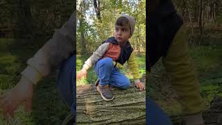 Chanting the Forest Song 🌳 shorts ytshorts viralshorts fyp forest adventure cutebaby singer [upl. by Anirhtak11]