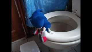 SONIC POOP ON TOILET AND EVEN FLUSHES [upl. by Erickson]