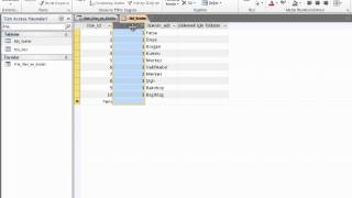 40Microsoft Access VBA Dersleri İl Seçince İlçeler Gelsin Uygulama1 [upl. by Hanover256]