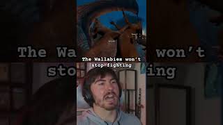 Breaking Up A Wallaby Fight zoochosis horrorgaming gaming funnygaming [upl. by Teplica]