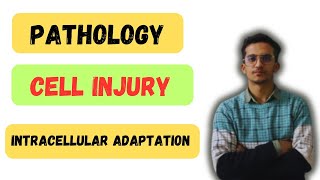 Pathology  Unit 1  Cell Injury  Lecture 16  Intracellular Adaptation  Mbbs Lecture [upl. by Larrabee]