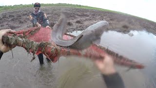 PEGAMOS UM PEIXÃO NUMA POÇA ABANDONADA NO PASTO [upl. by Ja]