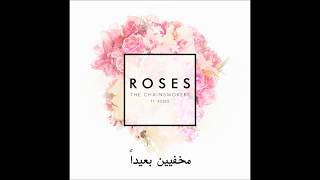 the chainsmokers Roses ft Rozes مترجمة [upl. by Orelu]