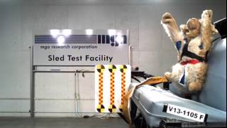 AllSafe Harness Crash Test Video [upl. by Sik]