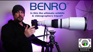 Is The Benro WH15 head and Mammoth Tripod Legs The Ultimate Wildlife and Video Tripod Set up [upl. by Ramses702]