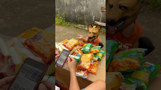 goodnatured puppy viral funny comedy dog [upl. by Oreste]