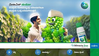 Syngenta  Miravis Duo  Grapes  Motion Poster  Kannada [upl. by Aislehc]