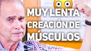 Episodio 1969 Muy Lenta Creación De Músculos [upl. by Iveksarap136]