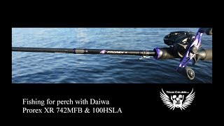 Team Colibri Daiwa Prorex 100 HSLA amp Prorex 742 [upl. by Alrep]