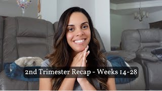 Second Trimester Recap  Weeks 1428  Gender Reveal [upl. by Aesoh]