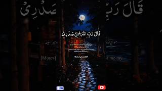 Rabbi sh rahli sadri wa yassirli amri  Surah Taha  سورۃ طہ shorts rabbi success youtubeshorts [upl. by Ramsa]