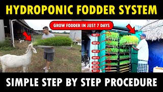 Hydroponic Fodder System  Hydroponic fodder for Cows Goats Buffaloes Sheep Chicken and Pigs [upl. by Florida]