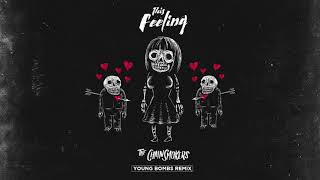 The Chainsmokers feat Kelsea Ballerini  This Feeling Young Bombs Remix [upl. by Ramedlav]