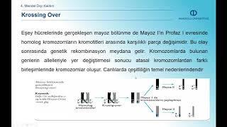 TEMEL VETERİNER GENETİK  Ünite 4 Özet [upl. by Hut923]