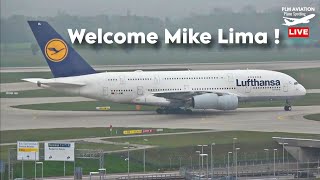 Fog amp Amazing Traffic at Munich Airport LIVE 🔴 Watch Arrivals amp Departures  Plane Spotting Live [upl. by Tabbitha]