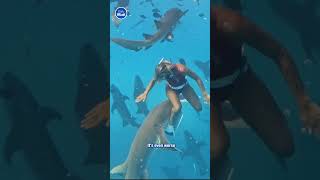 Free diver gets a sharks kiss 👀 [upl. by Ahsiat453]