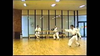 kizami mawashi geri shotokan karate [upl. by Reddin]