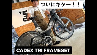 【トライアスロン】1秒でも早くこのスーパーバイクを紹介したい！CADEX TRI FRAMESETのご紹介！ [upl. by Ellenuahs]