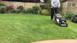 Mowing an English lawn Hayter 41 Pro [upl. by Ecirtemed]