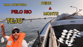 PESCARIA PELO RIO TEJO  PEIXES PORCO  CHOUPAS E MAIS [upl. by Nalor]